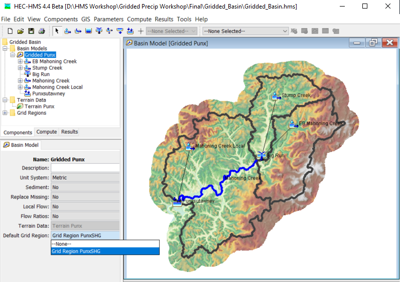 Figure 24. Basin Model with Default Grid Region