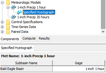Specified Hyetograph Component Editor