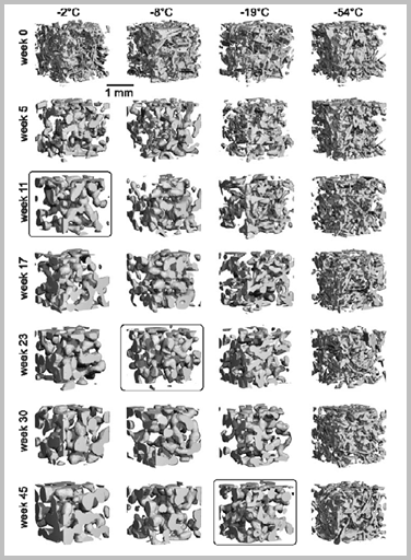 Changes in snow morphology over time