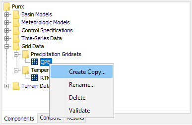 Renaming a precipitation gridset by selecting it in the Watershed Explorer and using the right-mouse menu