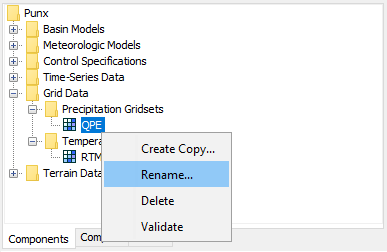 Renaming a precipitation gridset by selecting it in the Watershed Explorer and using the right-mouse menu