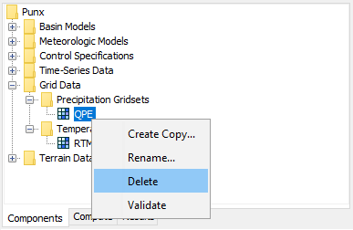 Preparing to delete a grid from the Watershed Explorer