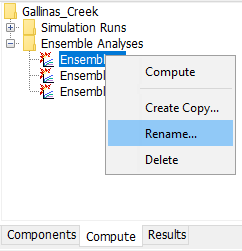 Rename Ensemble Analysis Right-click Option