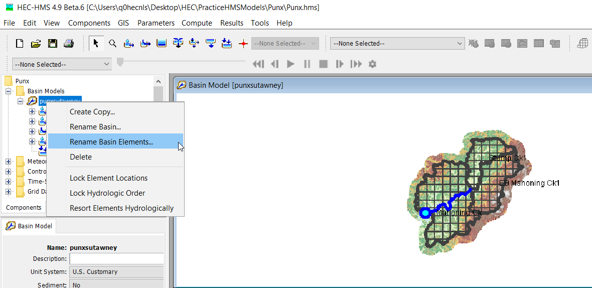 Rename Basin Elements option accessed from the Watershed Explorer