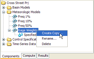 Copying a Meteorologic Model from the Watershed Explorer