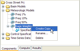 Figure 3. Copying a meteorologic model from the Watershed Explorer.
