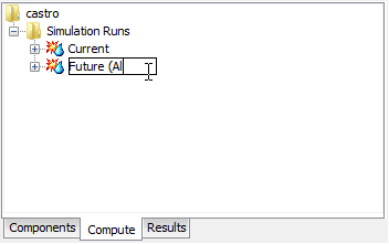 Renaming a Simulation Run in the Watershed Explorer