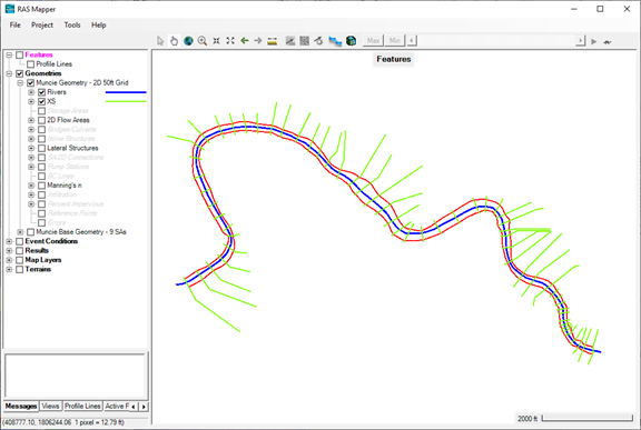 Figure 2-1. RAS Mapper with no terrain or other map layers loaded.