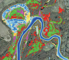 Simulated forest and plant communities.