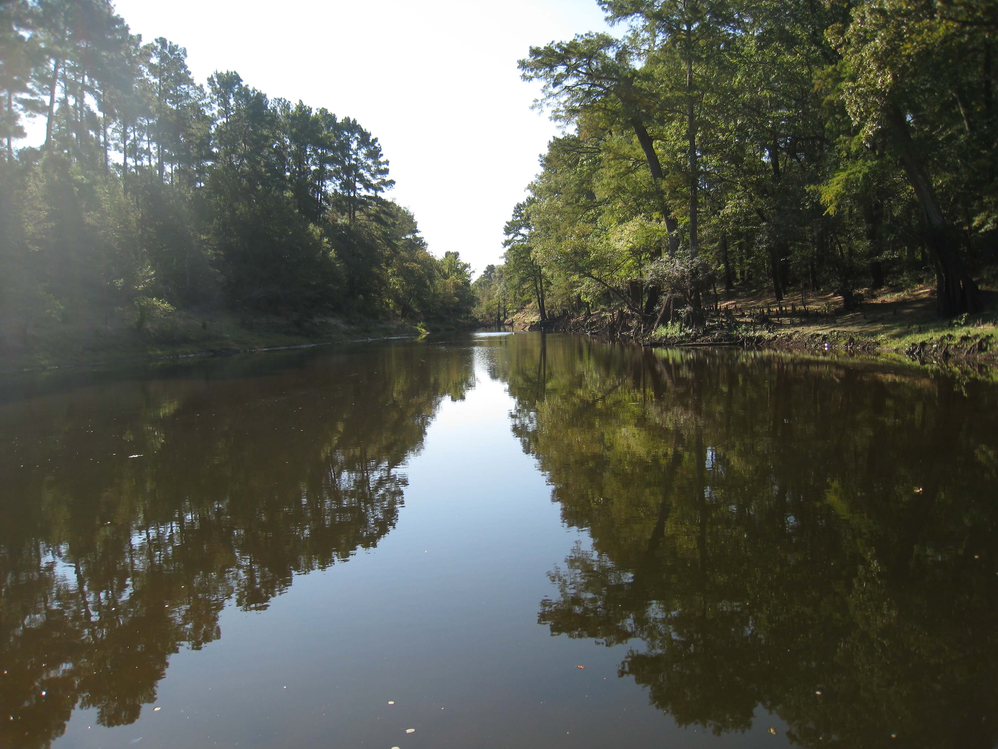 A calm day on Big Cypress Bayou just below Ferrell’s Bridge Dam and Lake O’ the Pines Reservoir.