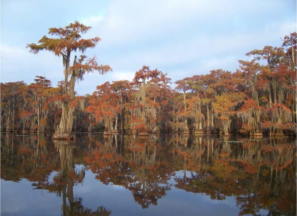 In eastern Texas, Big Cypress Bayou flows into Caddo Lake, which was named a Wetland of International Importance by the Ramsar Convention. Sustainable Rivers Program activities seek to re-introduce flow variability to regenerate rare cypress and bottomland hardwood forests and restore fish habitats.