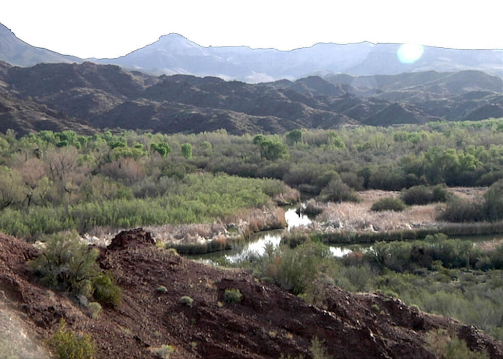 The Bill Williams National Wildlife Refuge is downstream of Alamo Dam and is home to more than 300 species of birds and an array of native riparian flora.