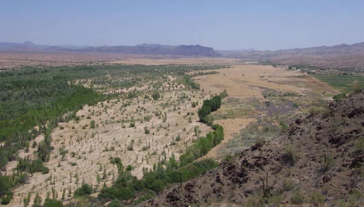 Alluvial valley of the Bill Williams River, Arizona. The Bill Williams River channel is characterized by a series of relatively narrow bedrock gorges separated by wider, alluvial reaches.