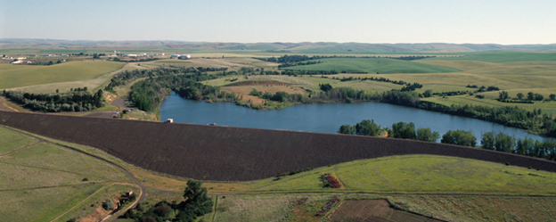 Located just a few miles east of Walla Walla, Bennington Lake is an off-stream reservoir designed to store water during high-flow events on Mill Creek.