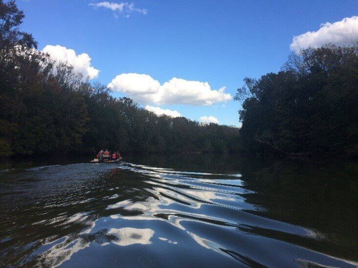 The Lower Roanoke River floodplain includes a large intact and relatively undisturbed bottomland hardwood forest.