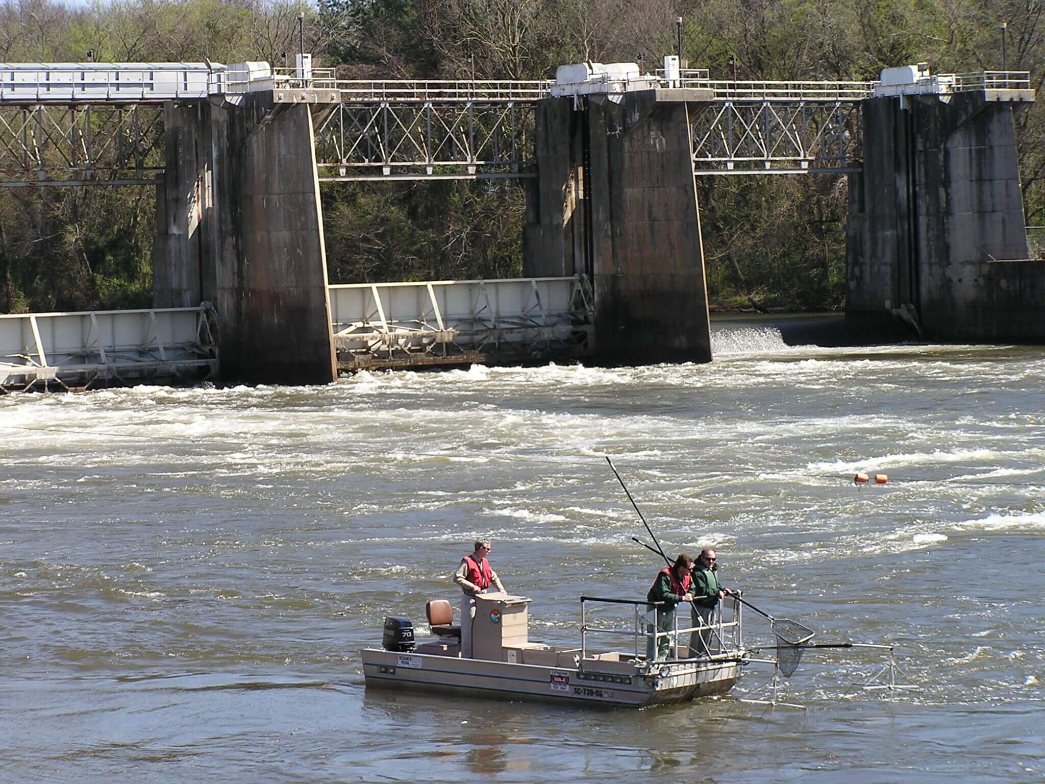 Staff of the South Carolina Department of Natural Resources monitor fish populations in the Savannah River.